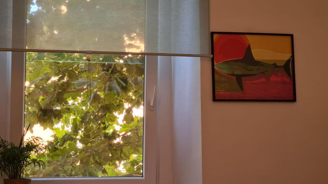 Ladispoli Apartment Екстериор снимка